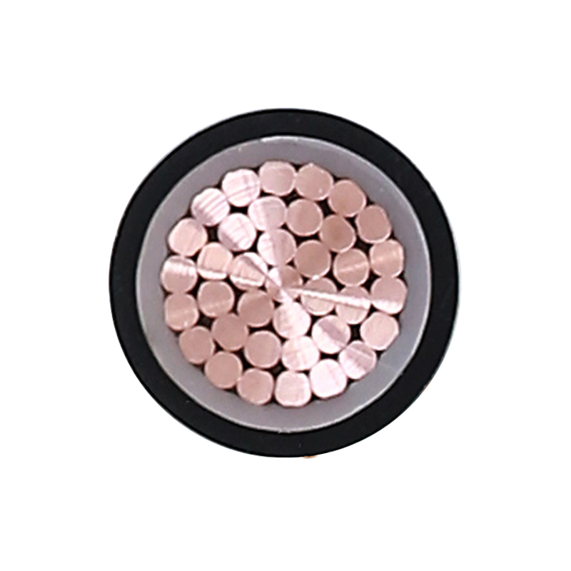 Câble de charge EV pour tension nominale 450/750 V