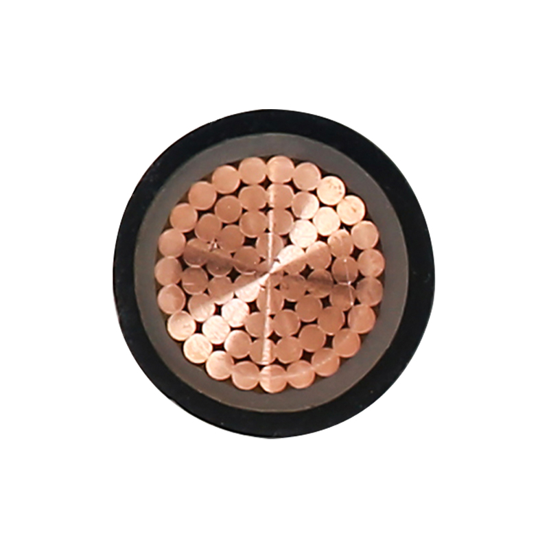 Câble de charge EV pour tension nominale 450/750 V