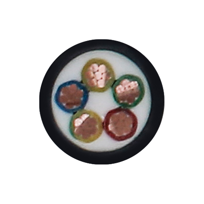 Câble de charge EV pour tension nominale 450/750 V