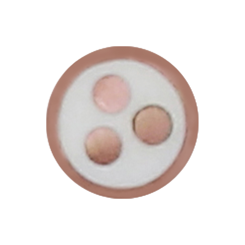 Câble de charge EV pour tension nominale 450/750 V