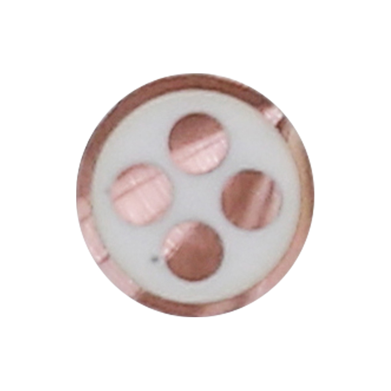 Câble de charge EV pour tension nominale 450/750 V