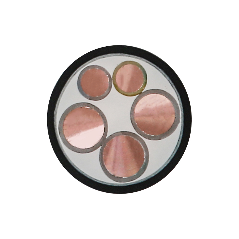 Câble de charge EV pour tension nominale 450/750 V